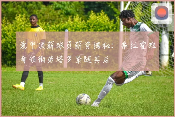 意甲顶薪球员薪资揭秘：弗拉霍维奇领衔劳塔罗紧随其后