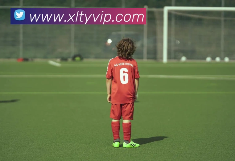 新浪体育品牌故事